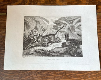 Tiger and Fox etching by Samuel Howitt.  from 1811