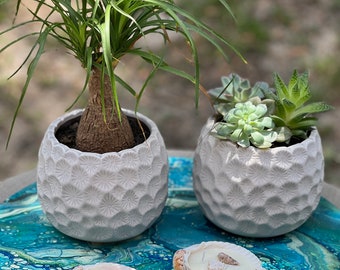 Soy Wax Seashell Candle