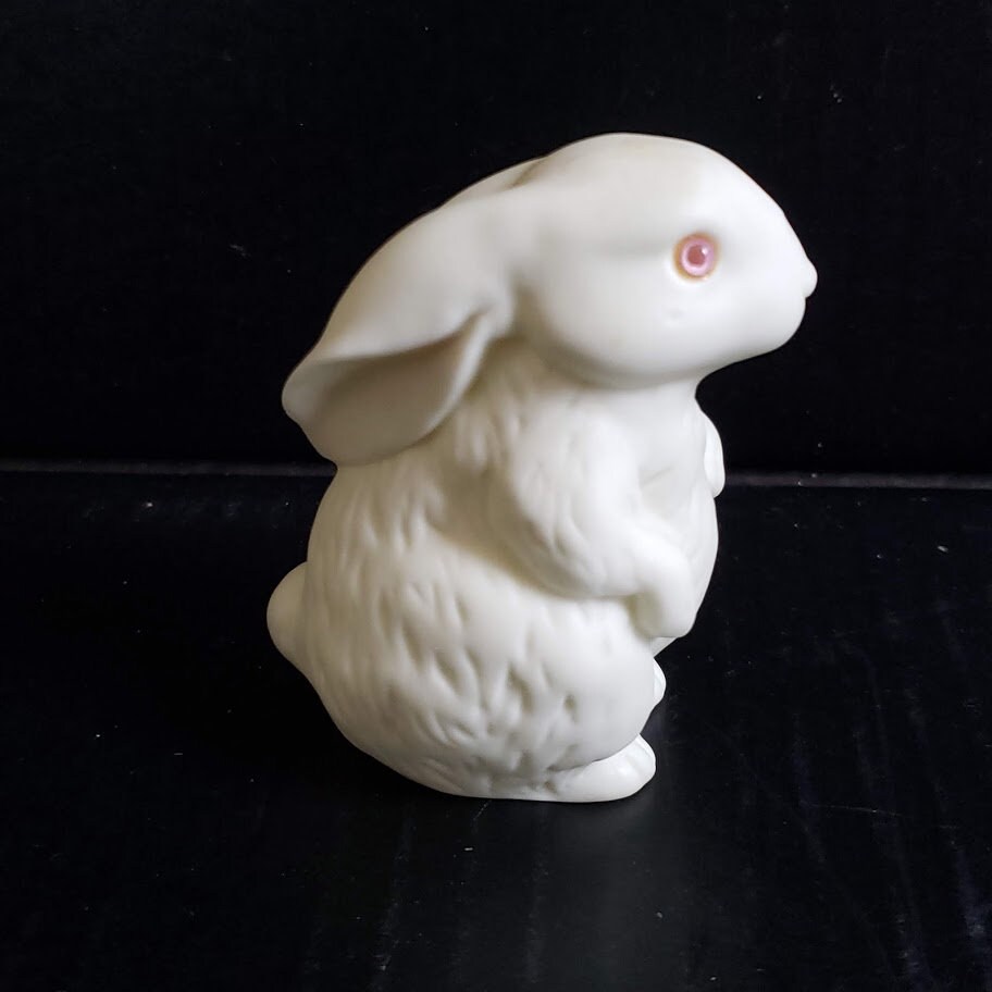 肉質画　Rabbit サインあり　箱あり il_fullxfull.2886385323_fb6s.jpg