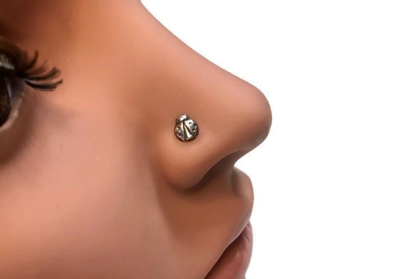 May include: A silver nose ring with a small ladybug design.