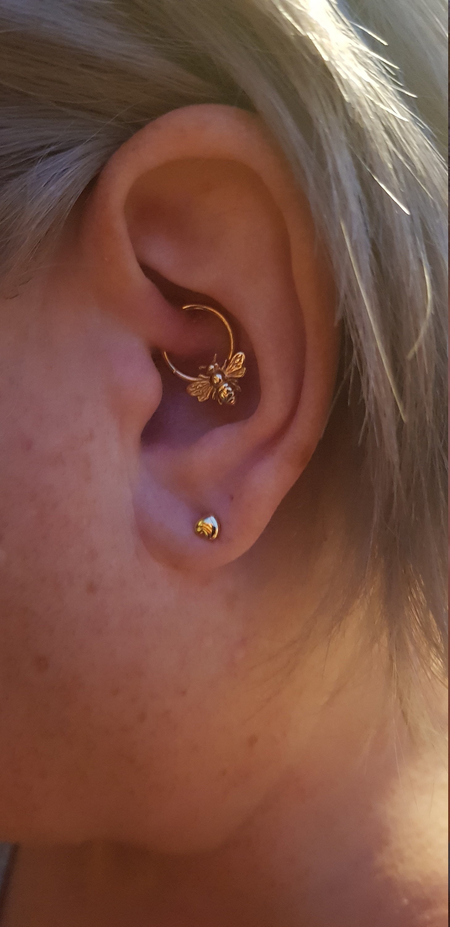 Rose Gold Killer Bee Septum Ring 