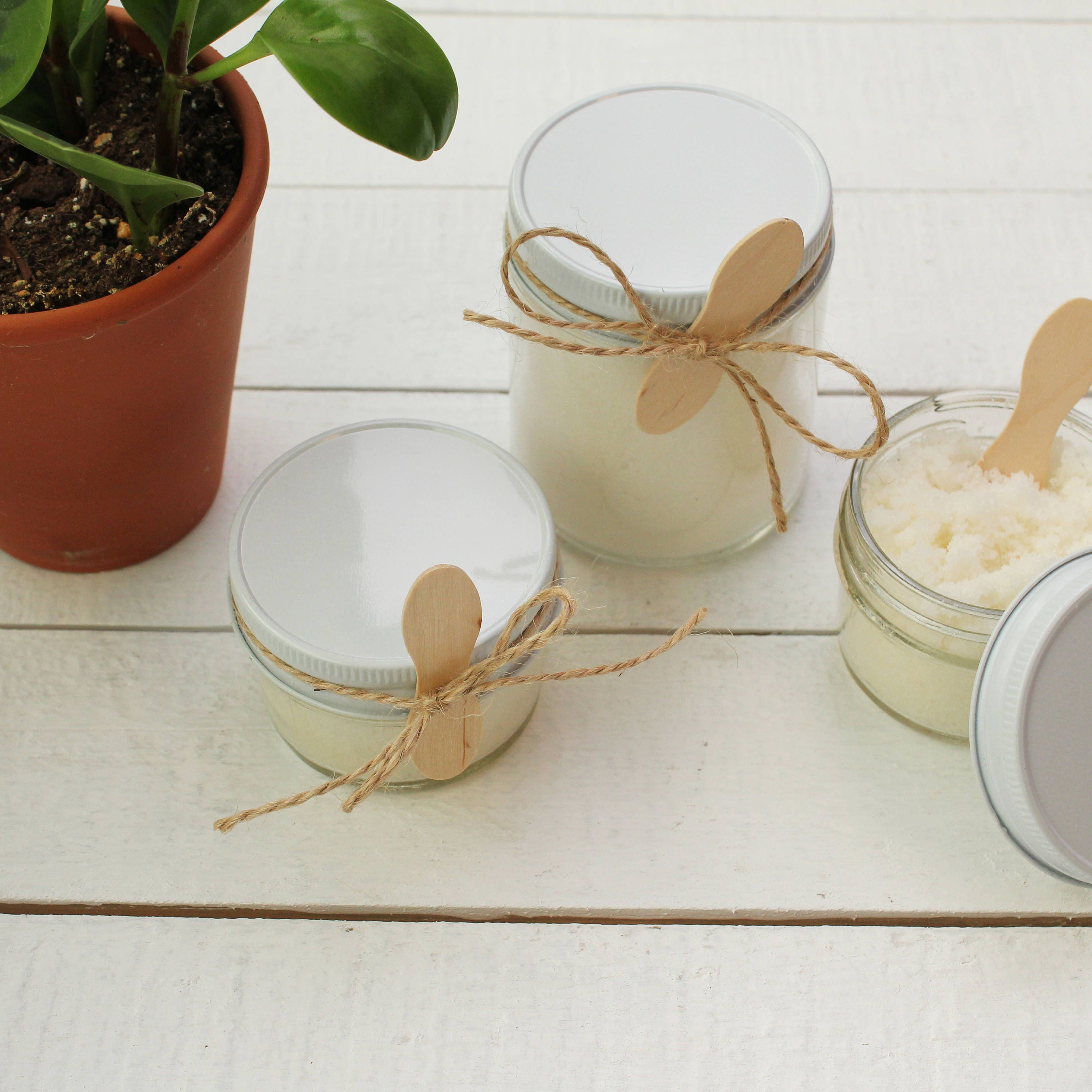 4 oz - Bridal Shower Favor | Baby Shower Favor Sugar Scrubs - Grace Label | All-Natural Sugar ...