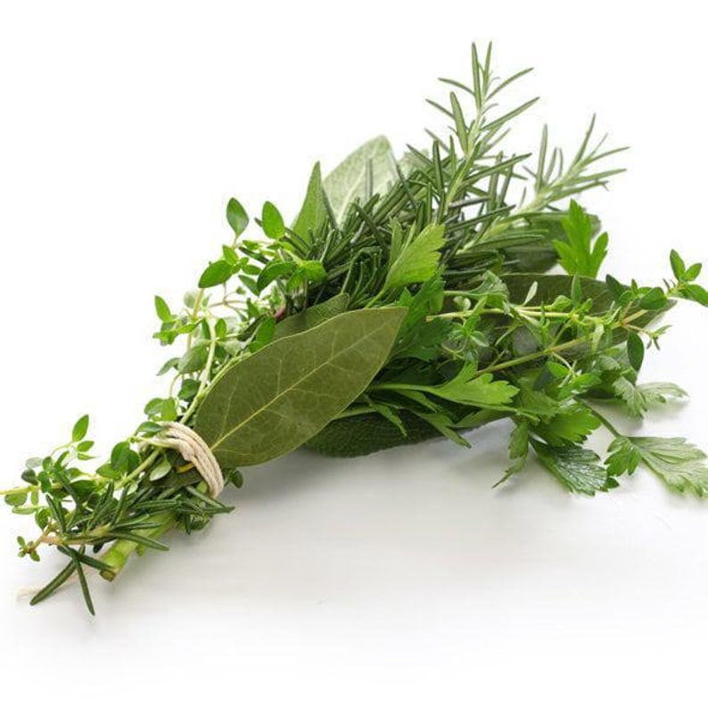 Rosemary Eucalyptus Scented Soy Candle: Decorative Candles Handmade Candles Handmade Products Best Selling Items image 2
