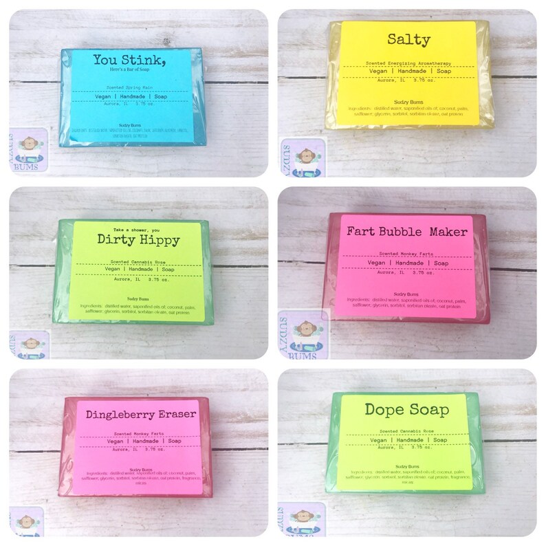 Gag gift soap take a shower you DIRTY HIPPY funny soap Etsy