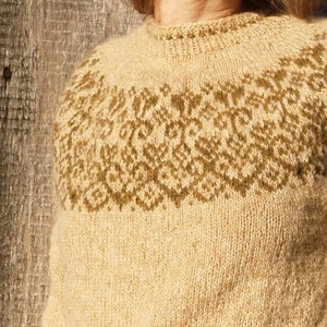 May include: A beige knitted sweater with a brown geometric pattern around the neckline.
