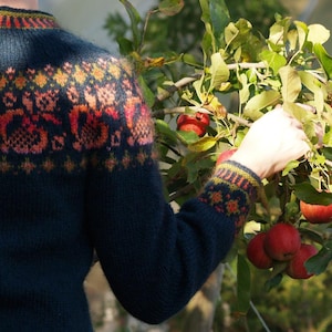 Könnte beinhalten: Ein dunkelblauer Pullover mit einem farbenfrohen Blumenmuster auf Passe und Manschetten. Eine Person greift nach roten Äpfeln an einem Ast mit grünen Blättern. Der Pullover hat einen runden Halsausschnitt.