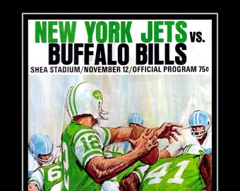 Image result for cartoon Buffalo bills  the jets