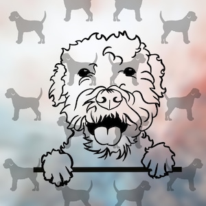 Lagotto Ledge Vinyl Decal