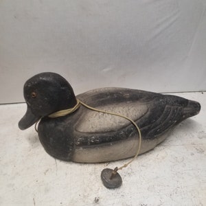 Duck decoy