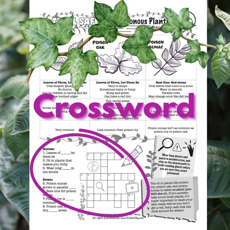 Poisonous Shrub Crossword Clue