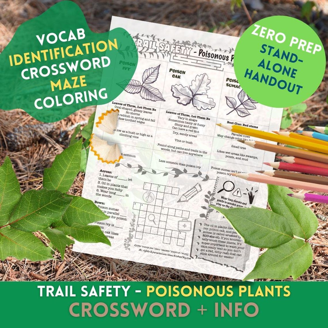 Poisonous Shrub Crossword Clue