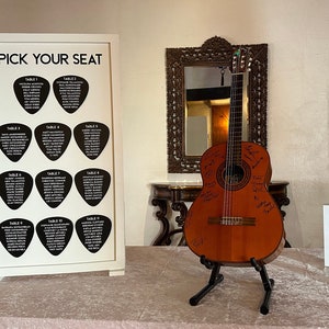 Plectrum zitplaatsen, tabel stoelen, gitaar bruiloft, plectrums bruiloft grafiek, plectrum bruiloft, plectrums, plectrum