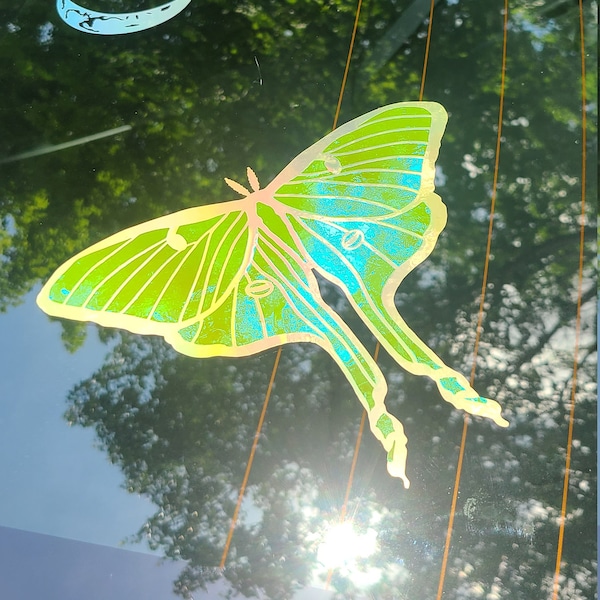 Lunar Moth Color Shifting Holographic Vinyl Decal | Car, Window, Laptop Sticker | Indoor Outdoor Waterproof Rainbow | Cute Gift Idea