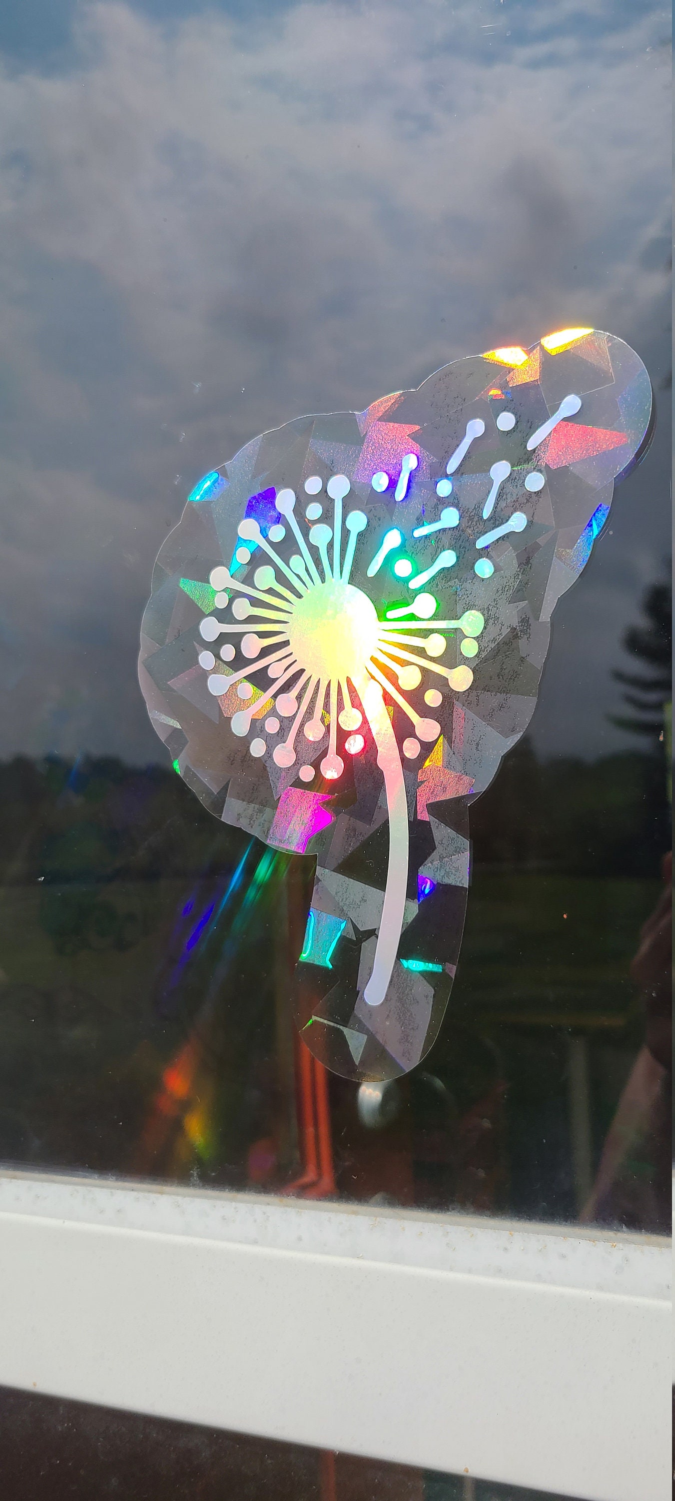 Dragonfly Translucent Sun Catcher // Waterproof Vinly Decal // Holographic  Rainbow Window Film // Cast Rainbows