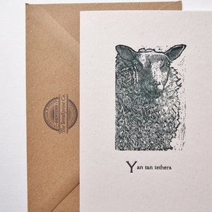 Tarjeta de felicitación con impresión tipográfica de ovejas de la serie Amigos de la Granja para un cumpleaños, simplemente porque sí, hola o una tarjeta de notas, agregue un mensaje