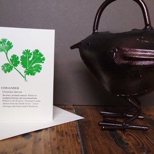 Carte typographique coriandre - parfaite pour le jardinier, les cuisiniers, les anniversaires, juste parce que, bonjour ou carte pour notes, ajoutez un message