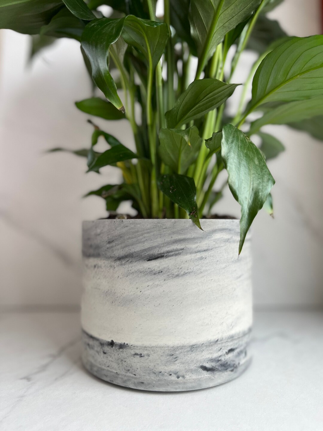 Concrete Plant Pot Planter Indoor Plant Pot Outdoor Plant Pot Etsy