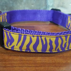 Louisiana Inspired Purple and Gold Zebra Print Dog Collar   Size Large