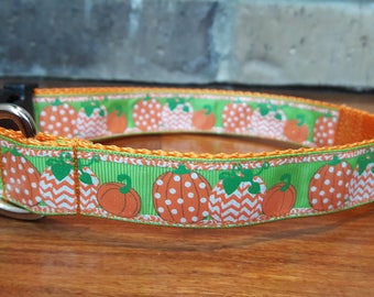 Fall Pumpkin Collar Large