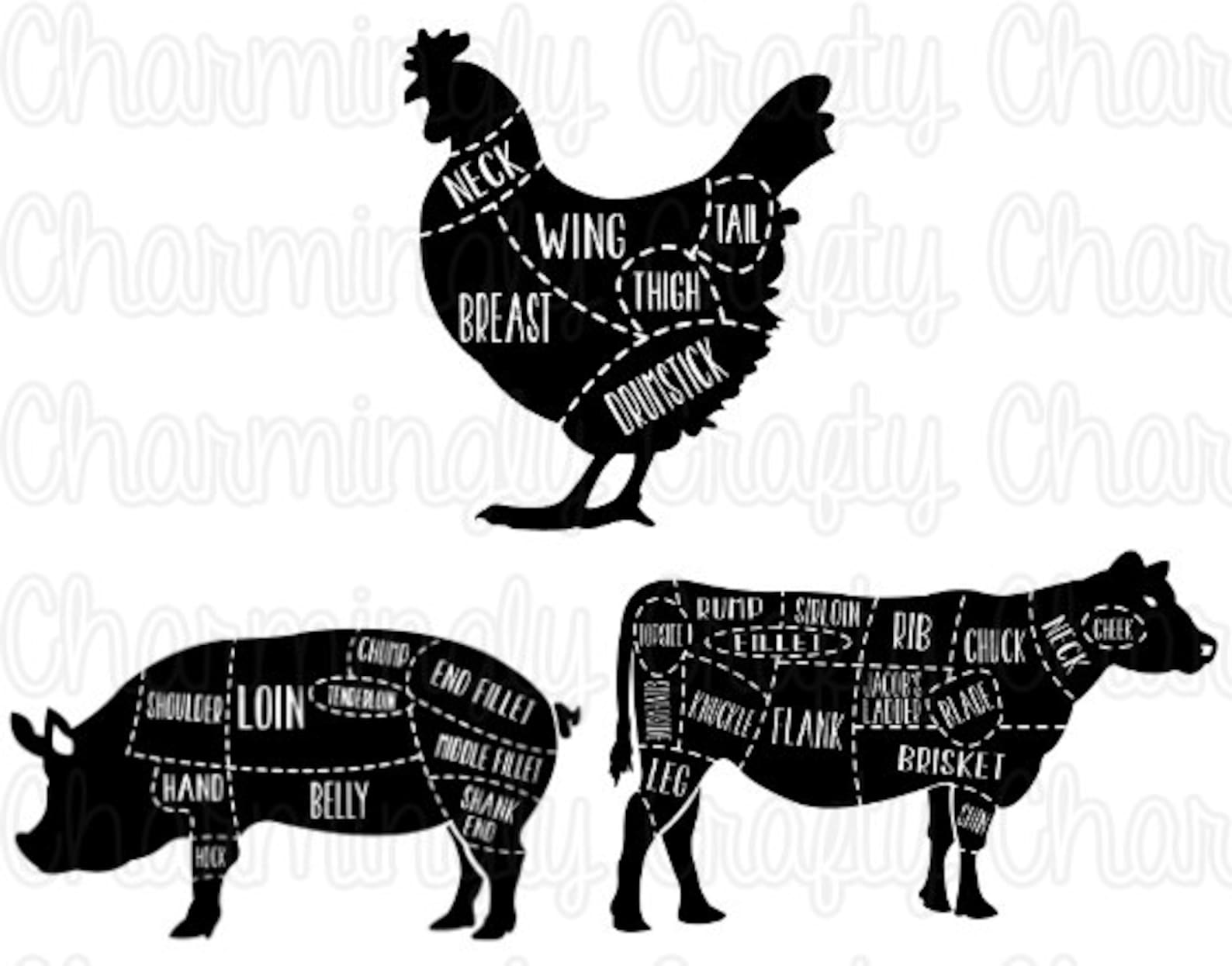 Chicken Pork Beef Pig Cow Poultry Meat Cut Chart SVG PNG Etsy