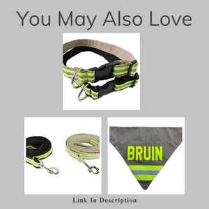 May include: Two dog collars with black plastic buckles and reflective neon yellow stripes, two matching leashes with metal clips, and a gray triangular pet bandana featuring the word BRUIN in neon yellow text with a reflective horizontal stripe.