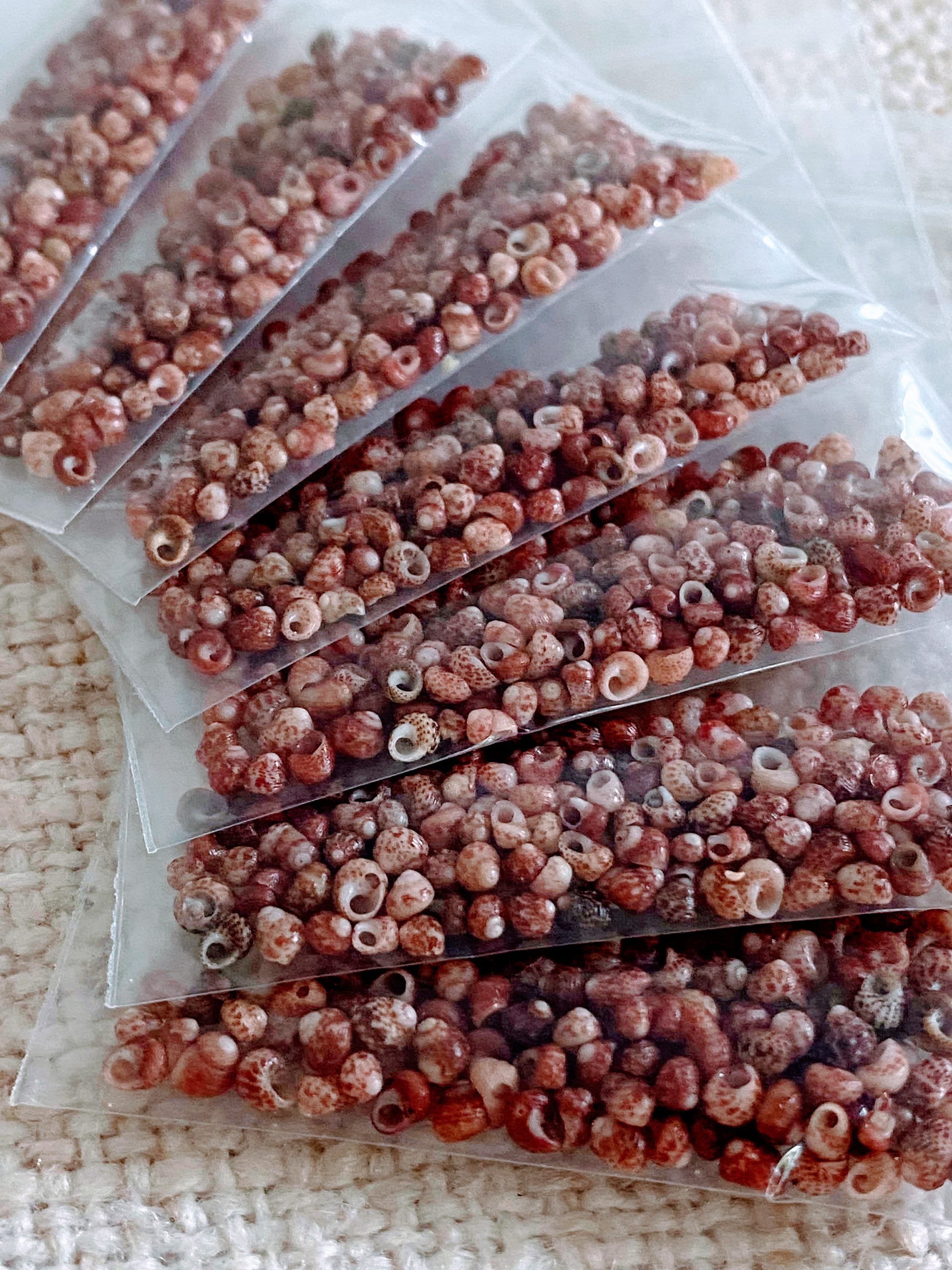 Kahelelani Shells for Jewelry Making: Mixed Colors and Sizes 3mm-5mm. Whole Shells, No Partials.
