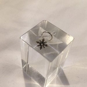 Star 925 Sterling silver nose wire, nose stud piercing tribal bohemian goth punk hippy god/goddess