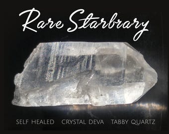 Rare Formation Starbrary Quartz crystal point for healers. Self healed tabby quartz crystal deva dolphin crystal water clear starseed quartz