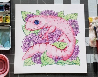 Pink Gecko 8x8in Print