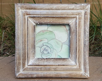 Framed Watercolour Succulent Painting