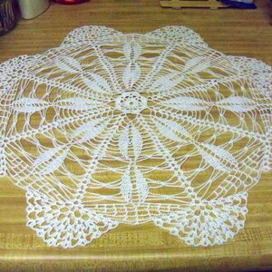 White spokes and fan doily (21 inch )