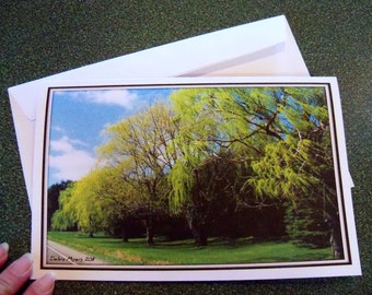 Spring lushness note card