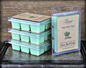 CITRUS BASIL COOLER Wax Melt Tart Wax Tart Wax Melt Phthalate Free Soy Blend Sassy Kandle Co.