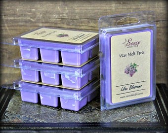 Soy Blend Phthalate Free Sassy Kandle Co. Wax Melt Wax Melt Tart SAN FRANCISCO BAY Wax Tart