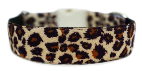 animal print dog collar