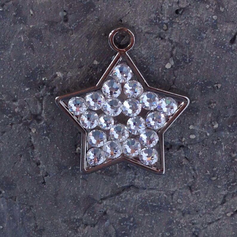 swarovski crystal dog tag