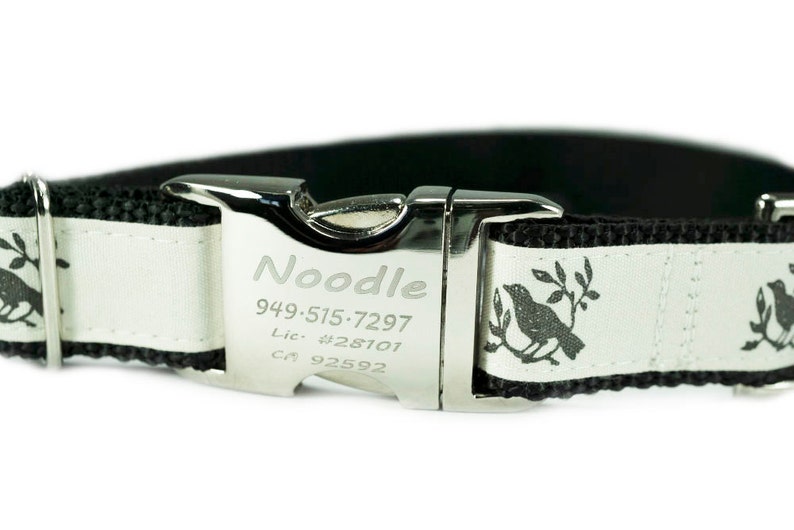 Dog Collar Personalized Engraved Buckle 1 Bird Dog Etsy