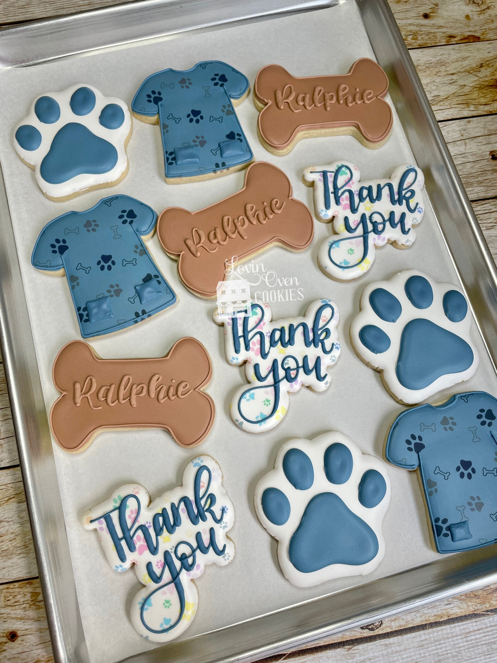Veterinarian Decorated Sugar Cookies 1 Dozen Doctor Office Etsy