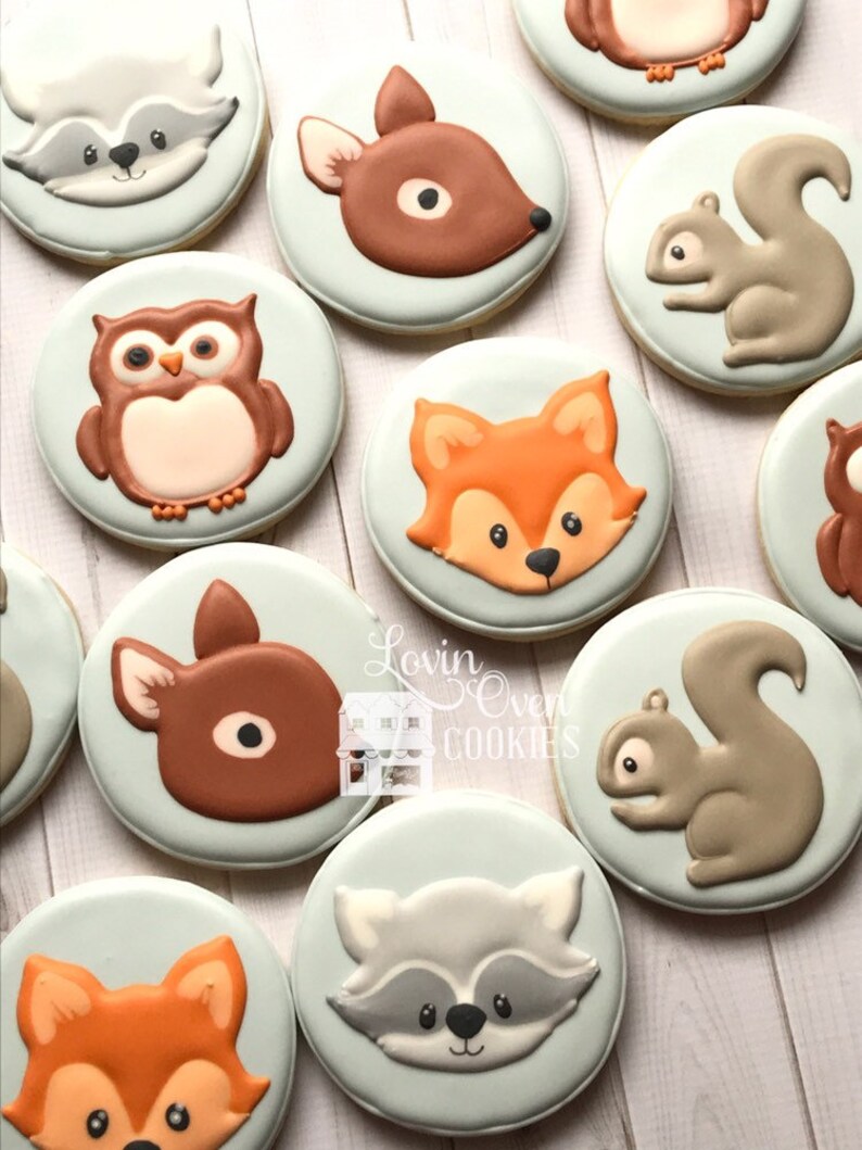 Woodland Animals Decorated Sugar Cookies 1 Dozen Baby Etsy