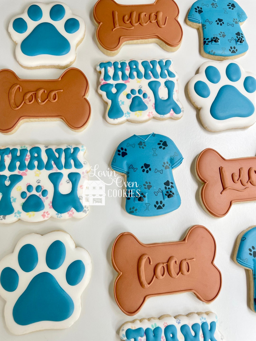 Veterinarian Decorated Sugar Cookies, 1 Dozen Cookies, Doctor Office