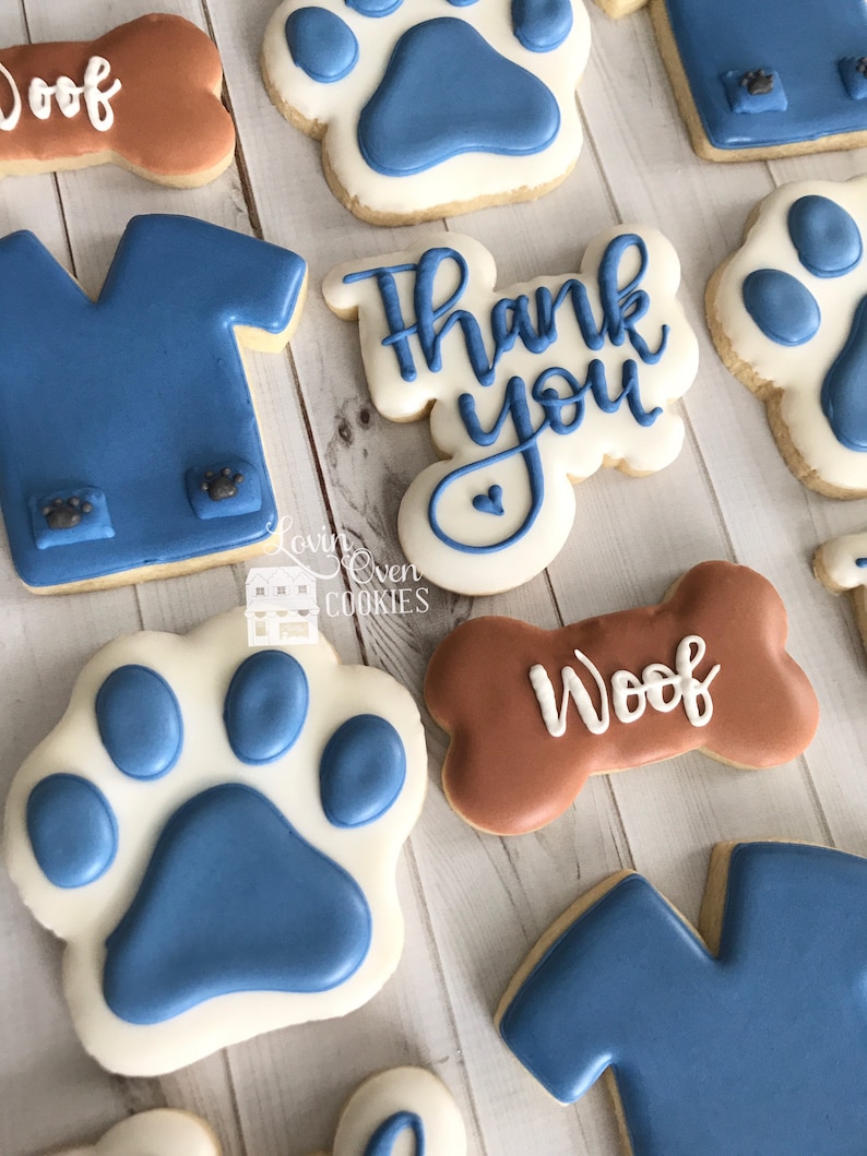 Veterinarian Decorated Sugar Cookies 1 Dozen Doctor Office Etsy