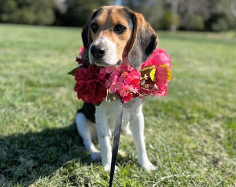 Dog Faux Floral Collar Accessory, weddings, birthdays, puppies, dogs, flower girl dog