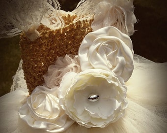 Gold Champagne Ivory Fancy Vintage Style Tulle Dress for infants, toddlers, girls, customizable colors