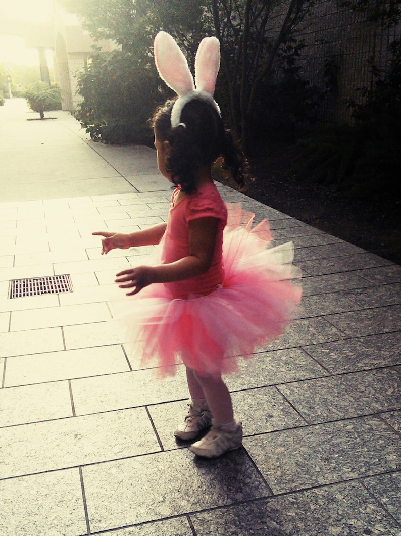 Fluffy Bunny Tutu Costume with ears and tail