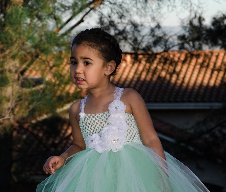 Mint and White Fancy Tulle Dress Infants Toddlers Girls - Etsy