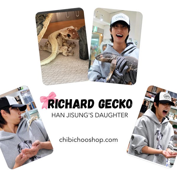 Stray Kids' Han Jisung with Richard and lizards, Lomo cards