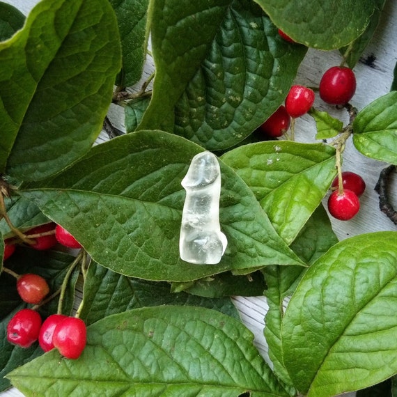 Latica penis
