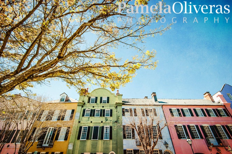 Charleston Photography Charleston Print Charleston Sc Etsy