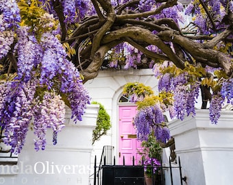 Wisteria Hysteria Art Print: Pink Door Photography
