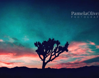 Joshua Tree Sunset Photography Print: California Wall Art